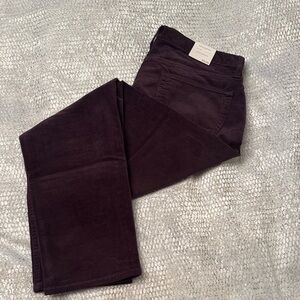 Banana Republic Factory Men's Corduroy Pants - Deep Plum size 33 x 30